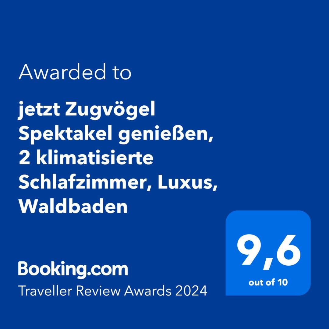 5 Sterne Bahnhoftraum, Appartement "Waldliebe" 133Qm, Grosse Terrasse 70Qm, Qr Code Scannen Fuer Virtuellen Rundgang, Premium Ausstattung Braunfels Exterior foto